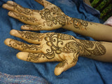 100g Henna Powder