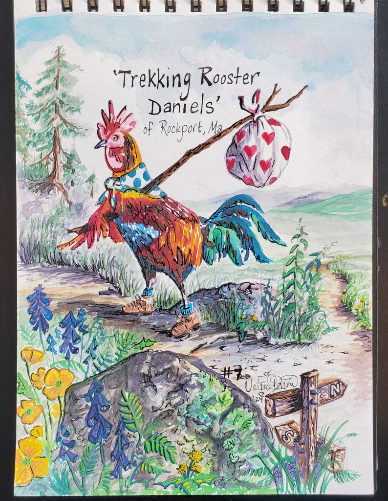 Trekking Rooster Daniels of Rockport by Valerie Doyon
