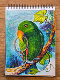 Eclectus Parrot 'Key to Your Heart' by Valerie Doyon