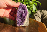 Amethyst Sparkling Druzy Geode Free standing