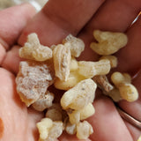 Frankincense Gum Resin