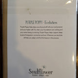 Soulflower gift cards (plant spirit meaning on back)