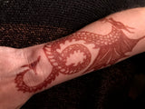 10ml Jagua (black) & Henna(brown) Kit
