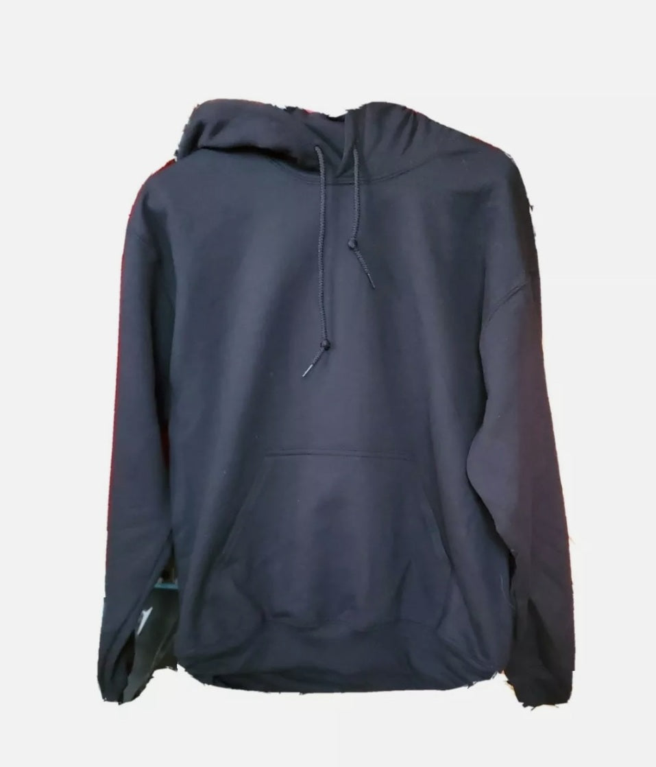 Champion Blue Hoodie Women's Champion Hoodie Women Size Large