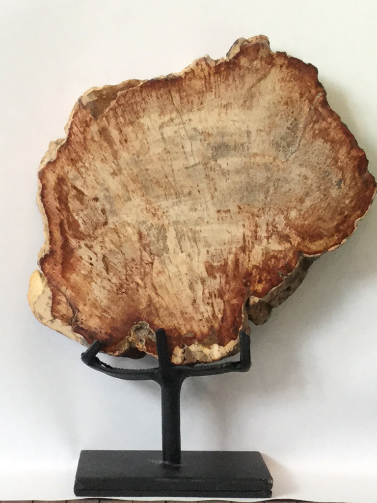 Petrified wood on stand